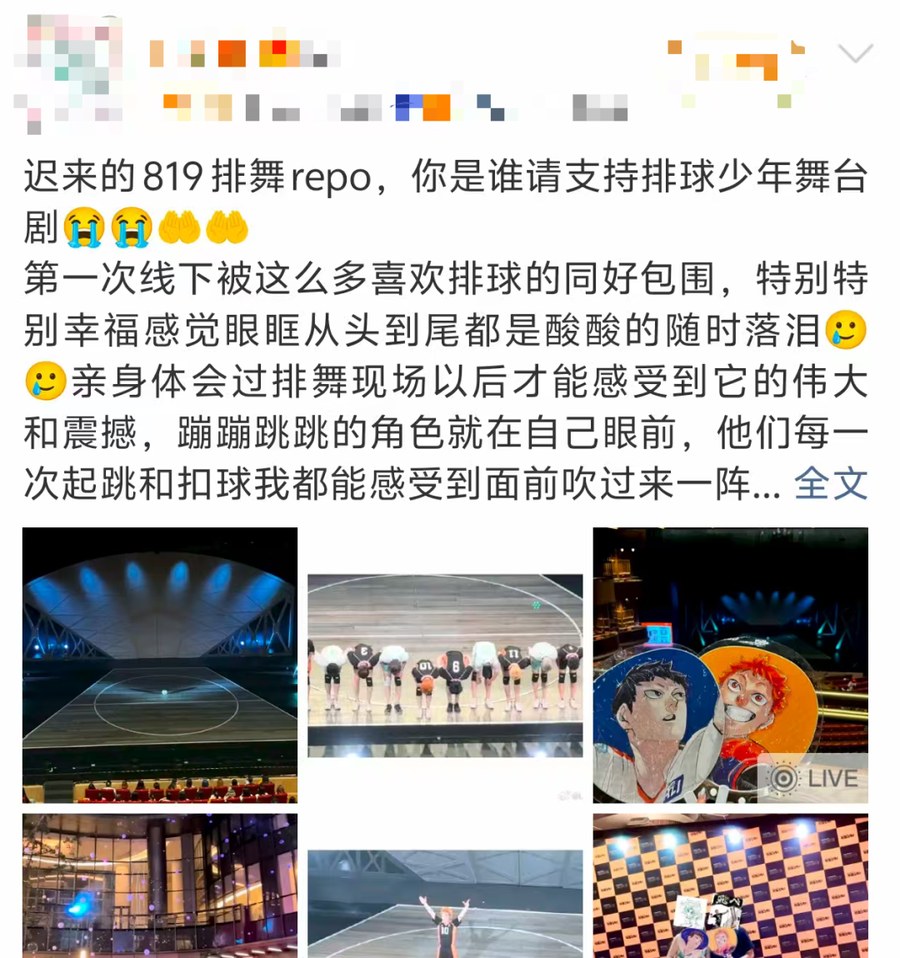 观众讨论排球少年舞台剧巡演场次与购票体验